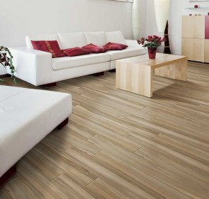 Porcelain Tile That Looks Like Wood