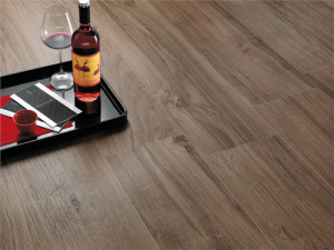 Porcelain Floor Tile